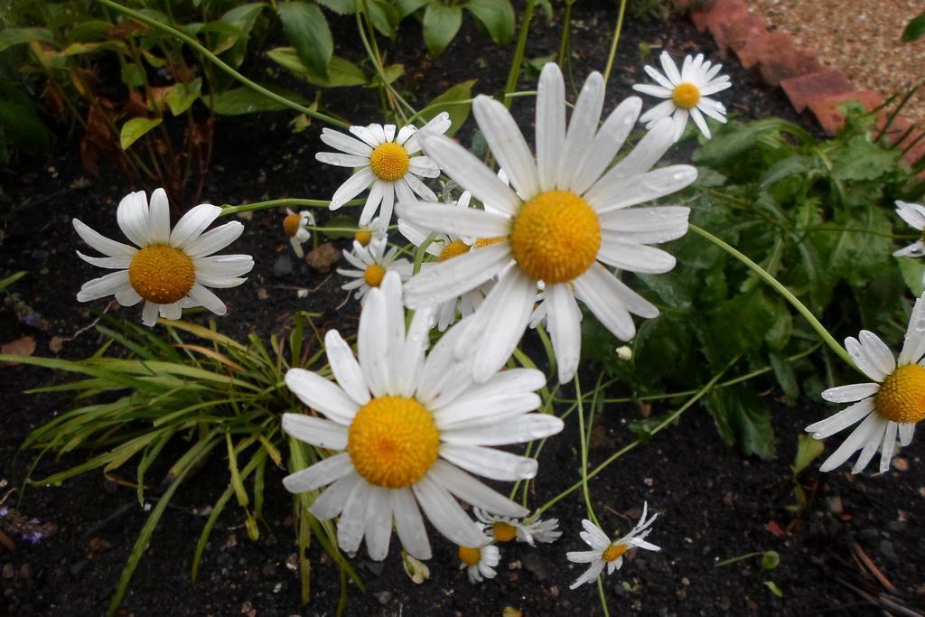 Sacred Garden Retreat Διαμέρισμα Γκλάστονμπερι Εξωτερικό φωτογραφία