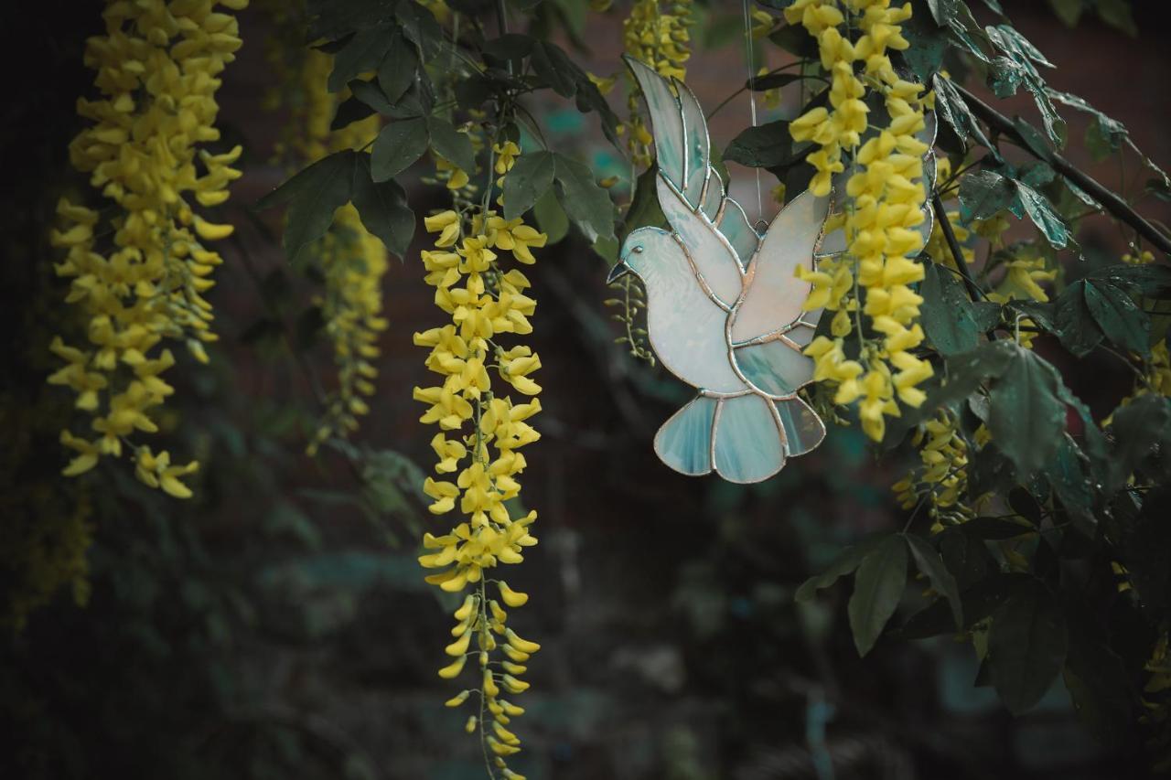 Sacred Garden Retreat Διαμέρισμα Γκλάστονμπερι Δωμάτιο φωτογραφία